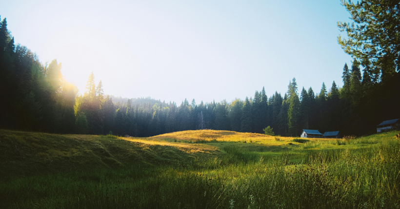 Earth Day: 10 Eco-Friendly Home Tips That Save Money